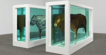 Vexation of Spirit. The Duerckheim Collection x Serralves