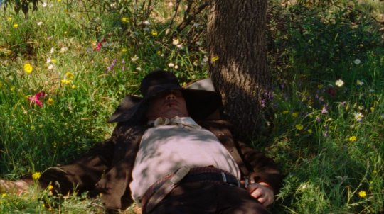 AS ESTAÇÕES | Cineclube de Elvas