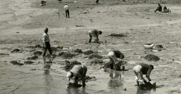 Crónicas de uma Lisboa desconhecida