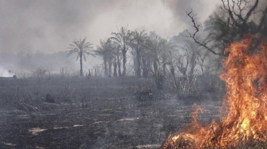O Chão é Lava! Território #6