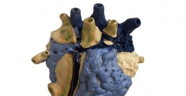 Regenerar - Liliana Velho