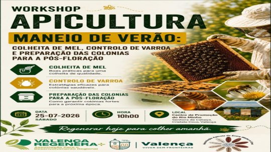 Workshop 'Apicultura: Maneio de Verão'