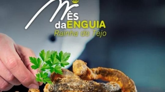 Mês da Enguia
