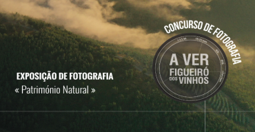 A Ver Figueiró Dos Vinhos | Exposição Fotográfica