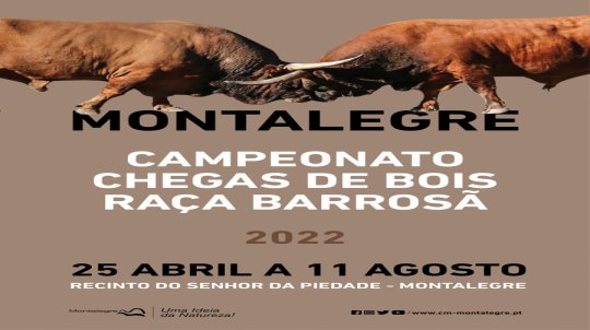 Campeonato de Chegas de Bois de Raça Barrosã 2022