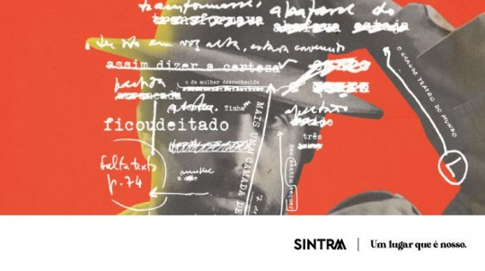 A poesia, o romance e a biografia de Saramago em estreia no MASMO