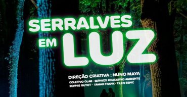 Serralves em luz