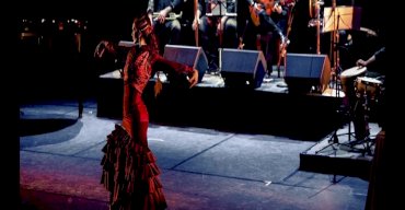 FLAMENCO PASSÍON