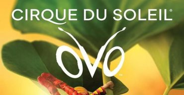 Cirque du Soleil - OVO