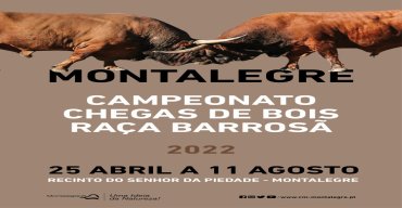 Campeonato de Chegas de Bois de Raça Barrosã 2022