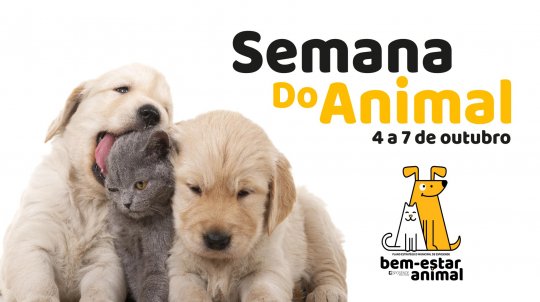 Semana do Animal