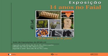 Exposição '14 Anos no Faial'