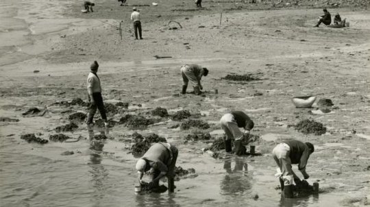 Crónicas de uma Lisboa desconhecida