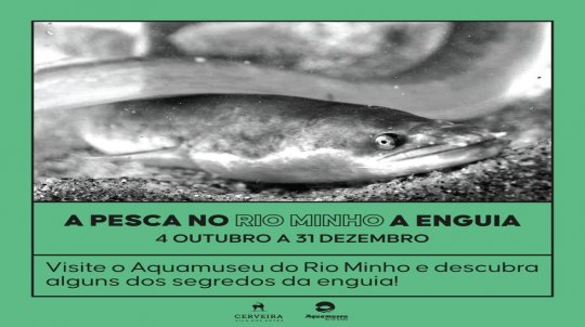 Exposição: A ENGUIA: DO MAR DOS SARGAÇOS PARA O RIO MINHO