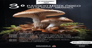 Passeio Micológico - Vale de Telhas