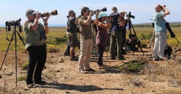 Festival de Observação de Aves - Sagres