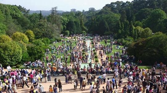 Serralves em festa