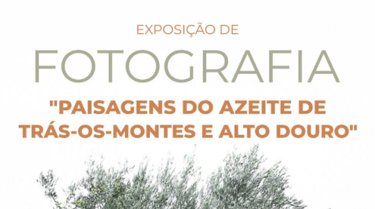 Exposição 'Paisagens do Azeite de Trás-os-Montes e Alto Douro'