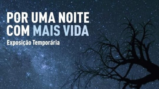 Por uma noite com mais vida