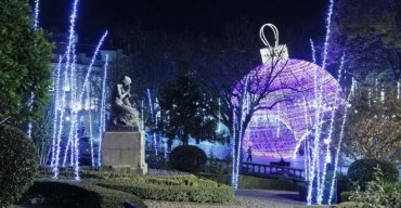 Viseu Natal Sonho Tradicional