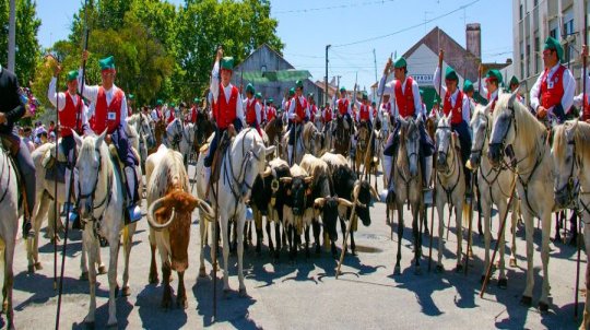 Festa da Amizade – Festa da Sardinha Assada de Benavente