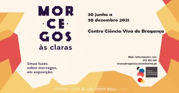 Exposição 'Morcegos às Claras' - Centro Ciência Viva