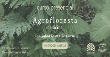 Curso de Agrofloresta Medicinal