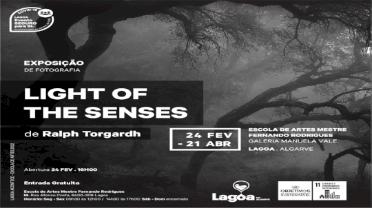 Exposição de Fotografia | Light of the Senses