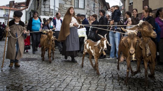 Feira das Colheitas