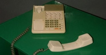 Helena Ramos: A vida das abelhas