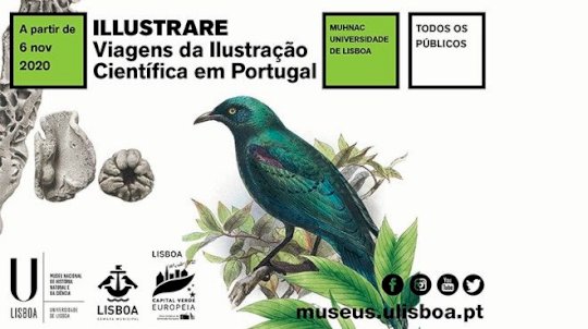 Illustrare: Viagens da Ilustração Científica em Portugal