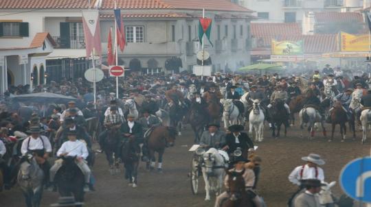 Feira da Golegã 2019