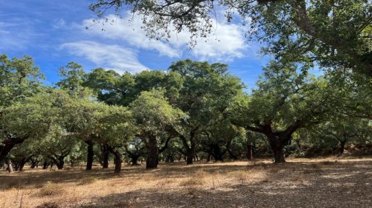 Paraíso Próximo: A Serra de Monfurado