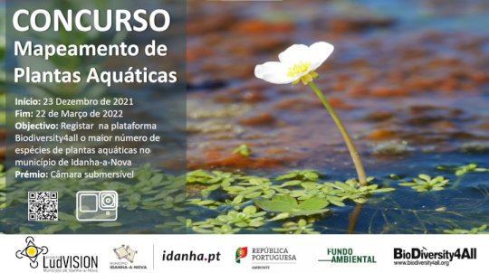 Concurso de identificação de plantas aquáticas - Projeto LudVISION