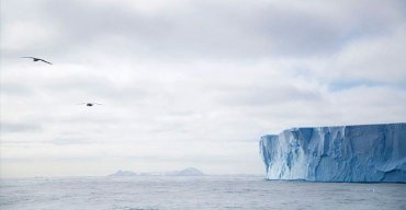 Antártica Fora de Equilíbrio