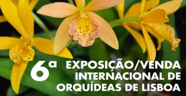 6ª Edição da Exposição Internacional de Orquídeas de Lisboa