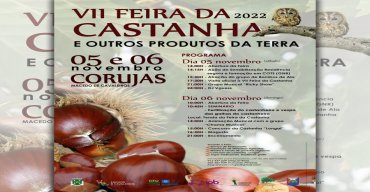 VII Feira da Castanha