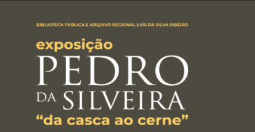 Pedro da Silveira: da casca ao cerne | Exposição