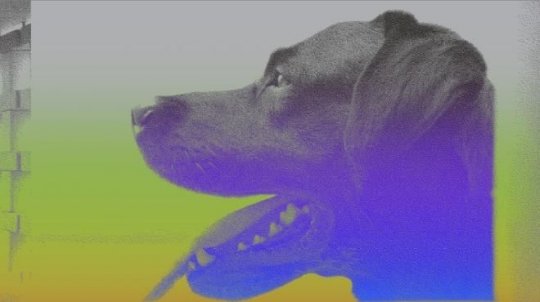 Fluxes: Trienal de Arquitetura 2025