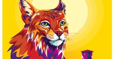 Feira Terras do Lince