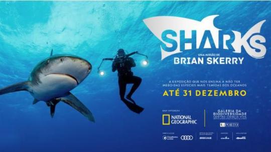 Sharks, uma missão de Brian Skerry