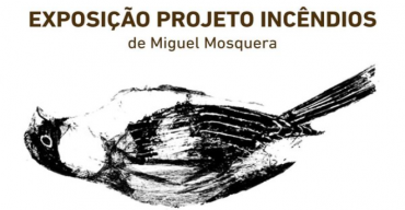 'Exposição Projeto Incêndios' de Miguel Mosquera